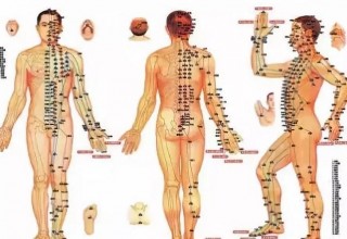 Hệ thống kinh lạc trong cơ thể người